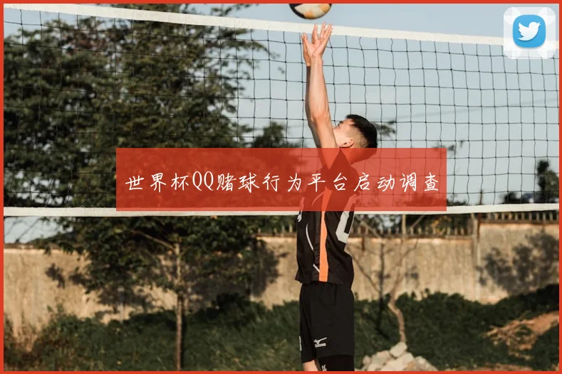 世界杯QQ赌球行为平台启动调查
