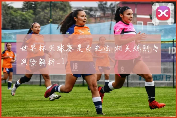世界杯买球赛是否犯法 相关规则与风险解析_1
